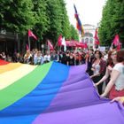 Marche des fiertés en 2013 à Lille