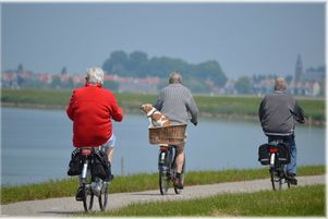 Les seniors sont les plus grands bénéficiaires
                    de la protection sociale.