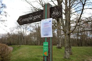 En forêt de Compiègne pendant le confinement.