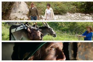 Les sorties cinéma du 16 septembre 2020.