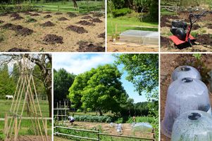 Différentes techniques existent pour protéger les légumes du potager en hiver