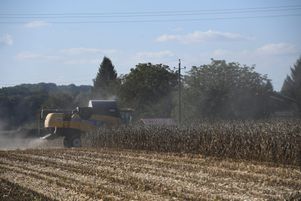 Les agriculteurs de 11 départements vont bénéficier d’une indemnisation rapide au titre des calamités agricoles pour les dégâts causés par la sécheresse estivale.