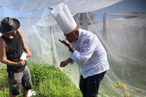 Découverte des basilics dans la station Vavilov à Charly avec le chef Christian Guzman.