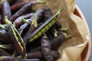 Oubliez définitivement l’existence des petits pois en boîte, mous et très sucrés. Préférez-les surgelés quand ce n’est pas la saison.