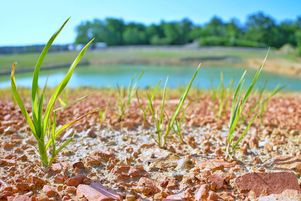 Le gouvernement a présenté jeudi 8 juin son plan pour lutter contre les effets de la canicule.