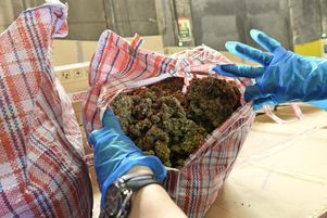 Plus d’une tonne d’herbe de cannabis saisie dans un camion sur l’autoroute A36 le 11 mai 2020 par les services des douanes de Besançon. Lundi 15 janvier, les sénateurs se sont penchés sur les particularités des zones rurales parfois utilisées comme « base arrière » par les trafiquants.