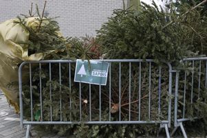 Dans les villes, des espaces sont installés pour jeter son sapin de Noël.