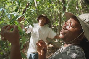 Le documentaire met en lumière l’appropriation d’un fabuleux héritage agricole, marqué par l’exploitation coloniale.