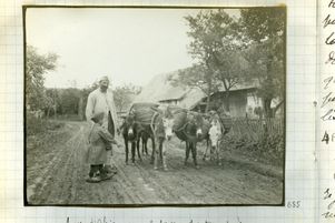 Ânes d’Afrique pour le service des tranchées. Émile Léon Schultz, carnet n° 8, France, 1917. Épreuve gélatino-argentique et manuscrit.
