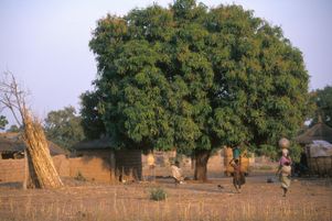 Dans un rapport publié ce lundi 12 mai 2025, l’ONG Human Rights Watch (HRW) accuse l’armée du Burkina Faso d’avoir massacré 130 civils peuls en mars dernier. Photo d’illustration.