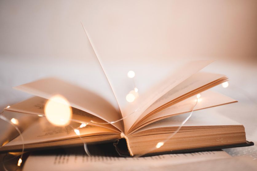 Découvrez notre sélection de livres à offrir pour Noël.