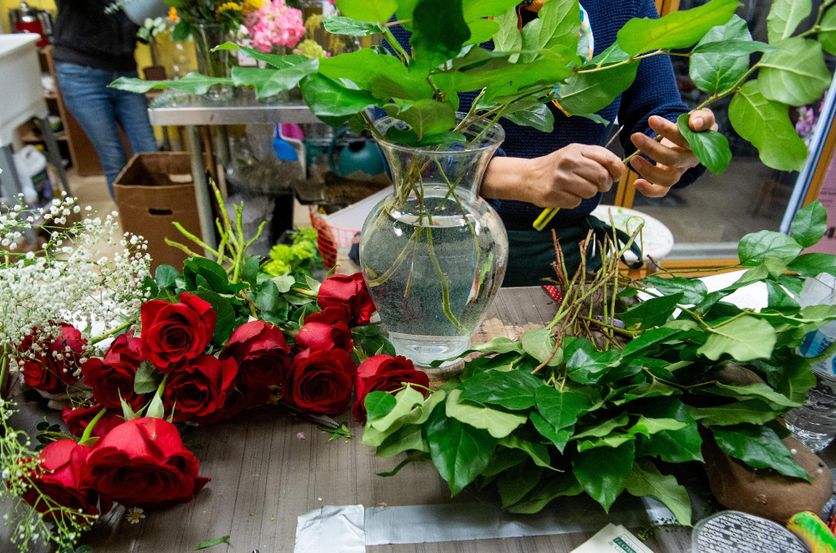 Les parents d’une fillette décédée d’une leucémie liée à l’exposition aux pesticides de sa mère, alors fleuriste, pendant sa grossesse, se sont pourvus en cassation pour obtenir une indemnisation spécifique, a indiqué mardi 15 avril 2025 l’association PhytoVictimes.